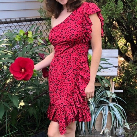 NWT Jay Godrey Red Leopard Cheetah One Shoulder Ruffle Mini Dress - Picture 6 of 8